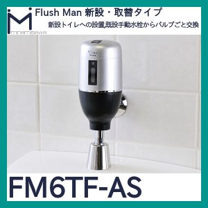 画像1: ミナミサワ フラッシュマン「FM6TF-AS」新設・取替タイプ