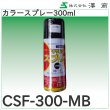 画像4: カラースプレー300ml 澤商 (4)